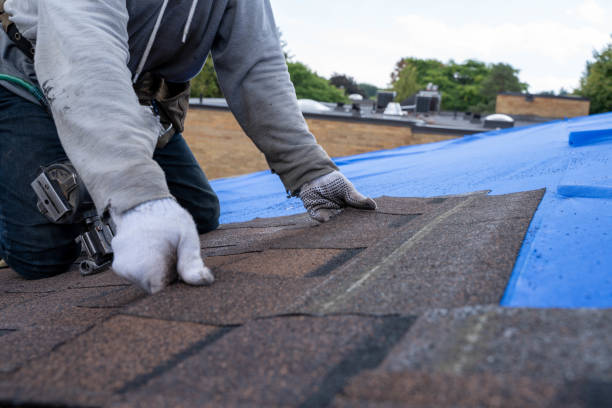 Best Roof Moss and Algae Removal  in Waynesburg, PA